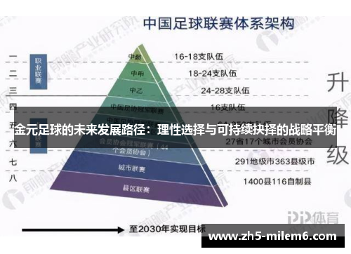 金元足球的未来发展路径：理性选择与可持续抉择的战略平衡