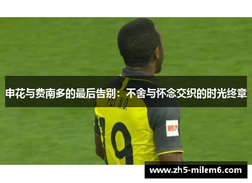 申花与费南多的最后告别：不舍与怀念交织的时光终章