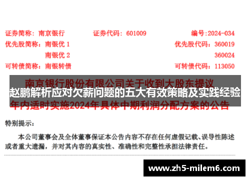 赵鹏解析应对欠薪问题的五大有效策略及实践经验