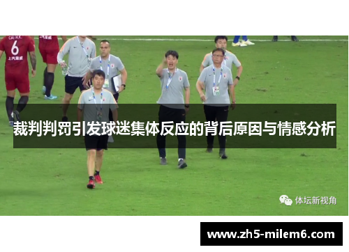 裁判判罚引发球迷集体反应的背后原因与情感分析