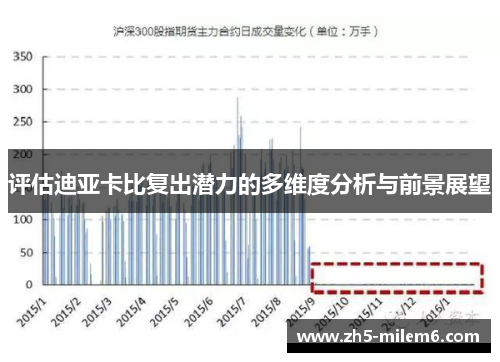 评估迪亚卡比复出潜力的多维度分析与前景展望