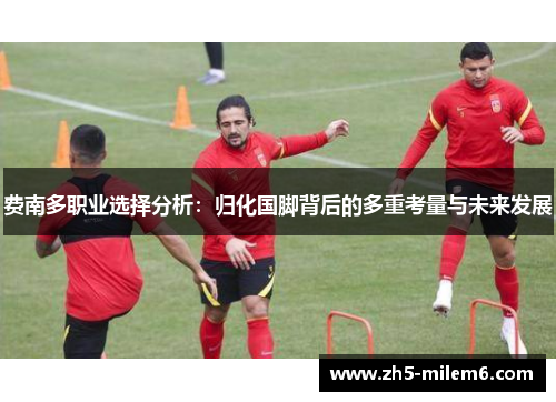 费南多职业选择分析：归化国脚背后的多重考量与未来发展