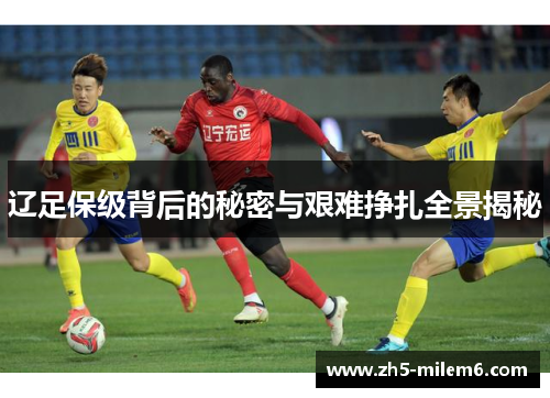 辽足保级背后的秘密与艰难挣扎全景揭秘 辽足保级背后的秘密与艰难挣扎全景揭秘