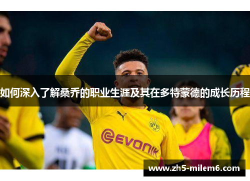 如何深入了解桑乔的职业生涯及其在多特蒙德的成长历程